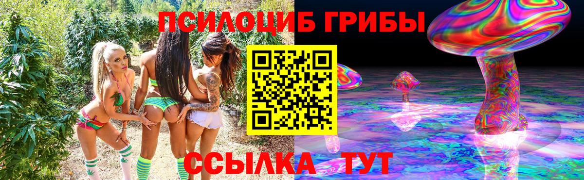 Псилоцибиновые грибы Cubensis Котельники